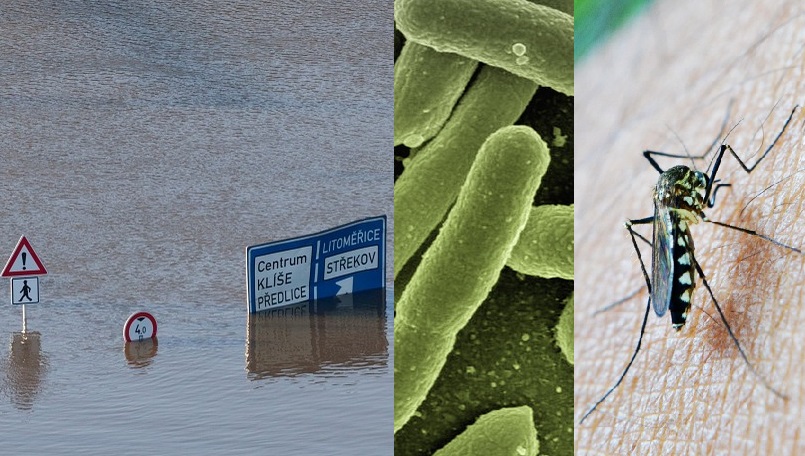 Climate change and infectious diseases – a partnership made in hell? - BugBitten - BMC Blogs Network