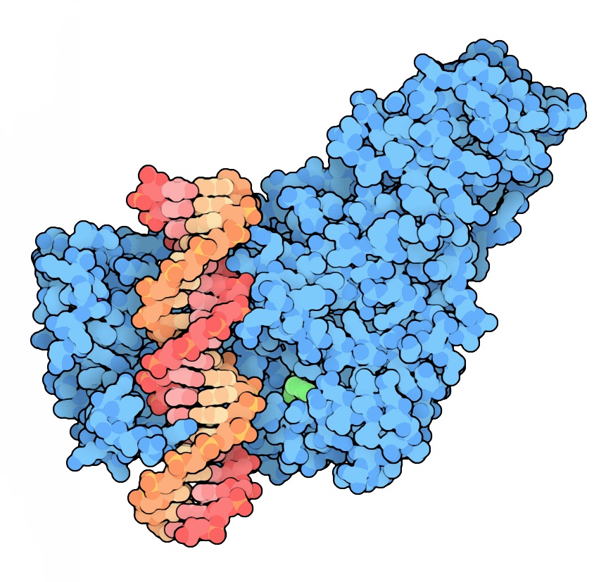 DNA Methyltransferase Inhibitors Shifting Realities On Biology