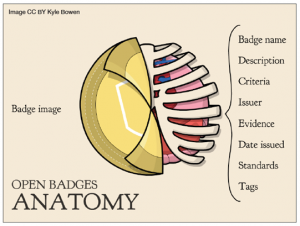 badge_anatomy