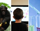 From chimps, to television, to clinical trials, there was plenty to read on our blogs in January.
