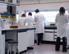 Scientists in a laboratory of the University of La Rioja.