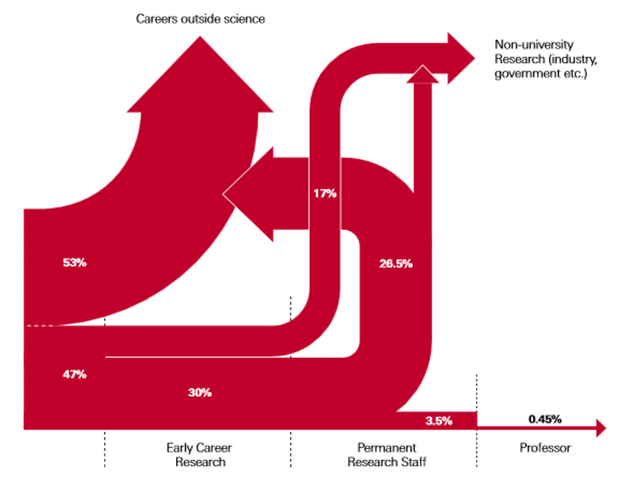 Data from the Royal Society policy document ‘The Scientific Century securing our future prosperity’ (2010) reveals the journey from PhD to Professorship, with many PhDs and post-docs opting for a career outside science. 
