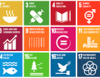 SDGs - the Global Goals_Sept2015