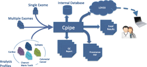Overview of Cpipe workflow