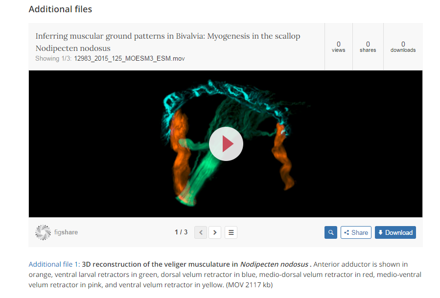 Widget displaying previewable video on Frontiers in Zoology article page
