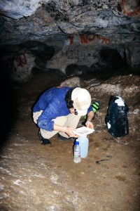Dr. Christian Wirkner collecting T. argentarii on Monte Argentario, Italy