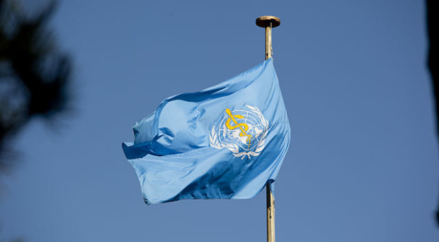 Photograph of WHO flag