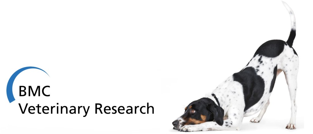 iStock image and BMC Veterinary Research logo