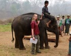 Measuring the growth of Asian elephants