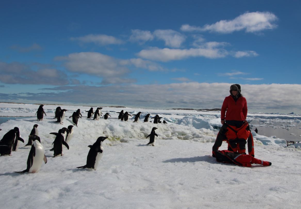 Jane working with the penguins