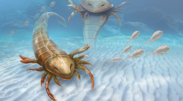 An artist’s rendition of the sea scorpion