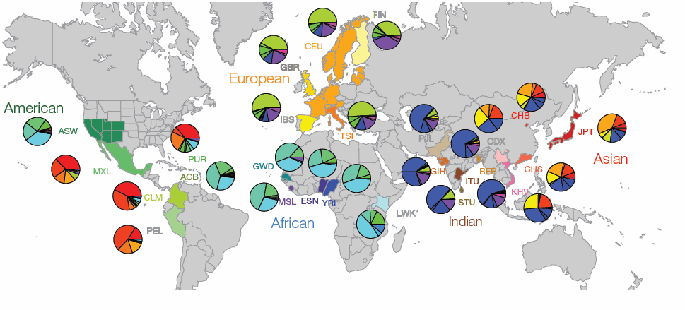 Adapted from Rishishwar and Jordan 2017: Map indicating the names and locations of the 1000 genome populations studied, together with pie charts showing the relative frequencies of distinct mtDNA haplogroups for each population. 