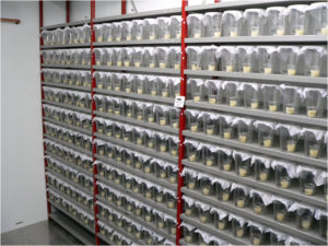 Hundreds of beakers for observation