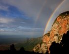 The Usambara Mountains in Tanzania, one of the many locations the researchers work took them too.