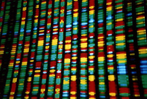 DNA representation (Andy Leppard, Flickr CC)