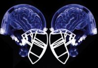 Helmet brain double – public domain