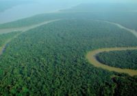Aerial_view_of_the_Amazon_Rainforest