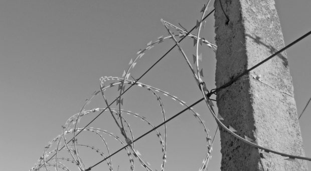 barbed wire torture