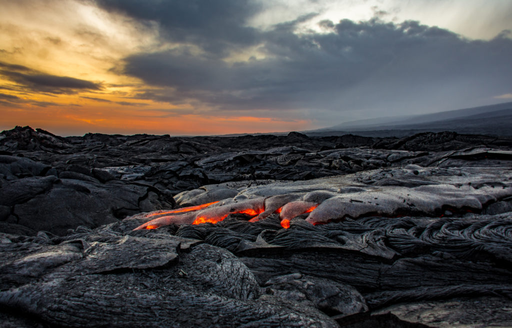 BMC Series blog BMC Ecology Image Competition 2018: the winning images