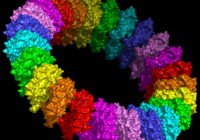 Molecular_model_of_the_pre-pore_form_of_a_MACPF_protein_based_upon_the_structure_of_pneunolysin