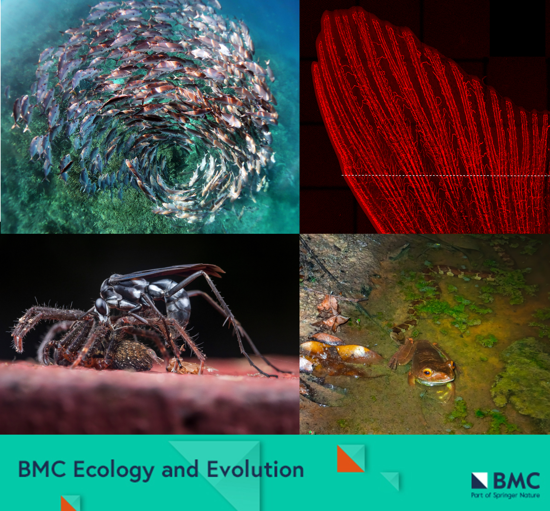 BMC Ecology and Evolution Image Competition 2022 - Vimarsana News