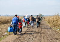 Group of War Refugees walking in cornfield. Syrian refugees crossing border to reach EU. Iraqi and Afghans. Balkans Route. Migrants on their way to European Union. Large group of people immigrate