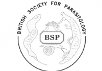 BSP logo