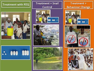 The ZEST study design – Three intervention arms; 1. Treatment with PZQ 2. Treatment with PZQ plus Snail control with niclosamide 3. Treatment with PZQ plus behaviour change and community engagement – image copyright NHM