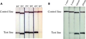FL strips showing Dra1 LF-RPA amplicon detection at different reaction temperatures (a) and times (b) 