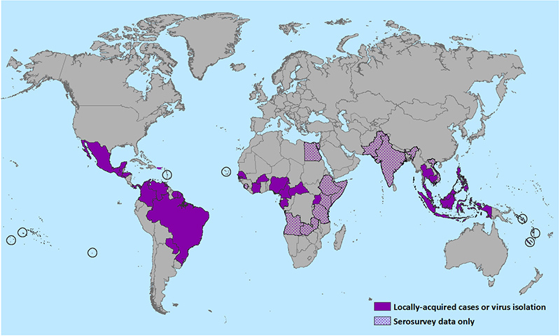 Geographic distribution of Zika virus (CDC website)