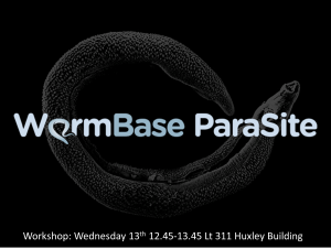 Wormbase workshop to use the ParaSite webpage, discover how to BLAST and be introduced to BioMart
