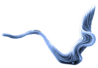 electron-micrograph-of-trypanosoma-brucei-parasite-false-colour