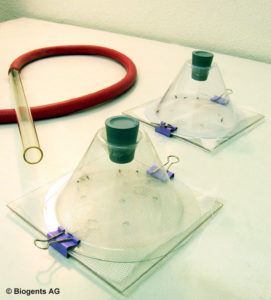 Apparatus for the WHO cone test for insecticide resistance. Image from https://www.biogents.com/cms/website.php?id=/en/contract/test_protocols/cone_tests.htm