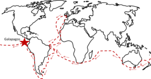 “Artistic” rendering of Darwin’s Route. Note: The Galapagos islands take up about 3000 square miles and are not as depicted here, the size of Alaska!