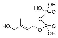 (E)-4-Hydroxy-3-methyl-but-2-enyl pyrophosphate. Source Wikipedia