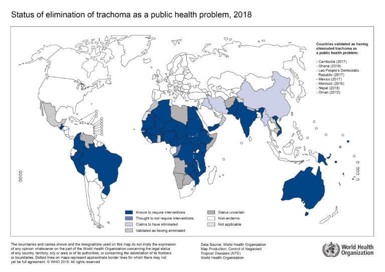 BugBitten The future looks bright for trachoma elimination