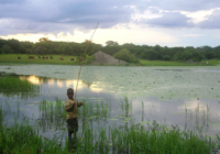 Anna_Phillips_fishing_Mozambique