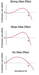 Allee effects