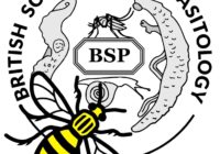 Untitled.jpeg BSP logo