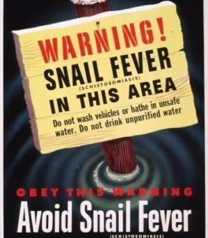 Snail fever