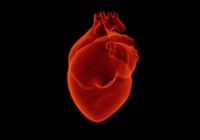 heart-1767552_1920