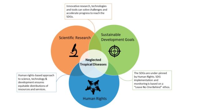 BugBitten Mobilizing research to defeat Neglected Tropical Diseases: A ...