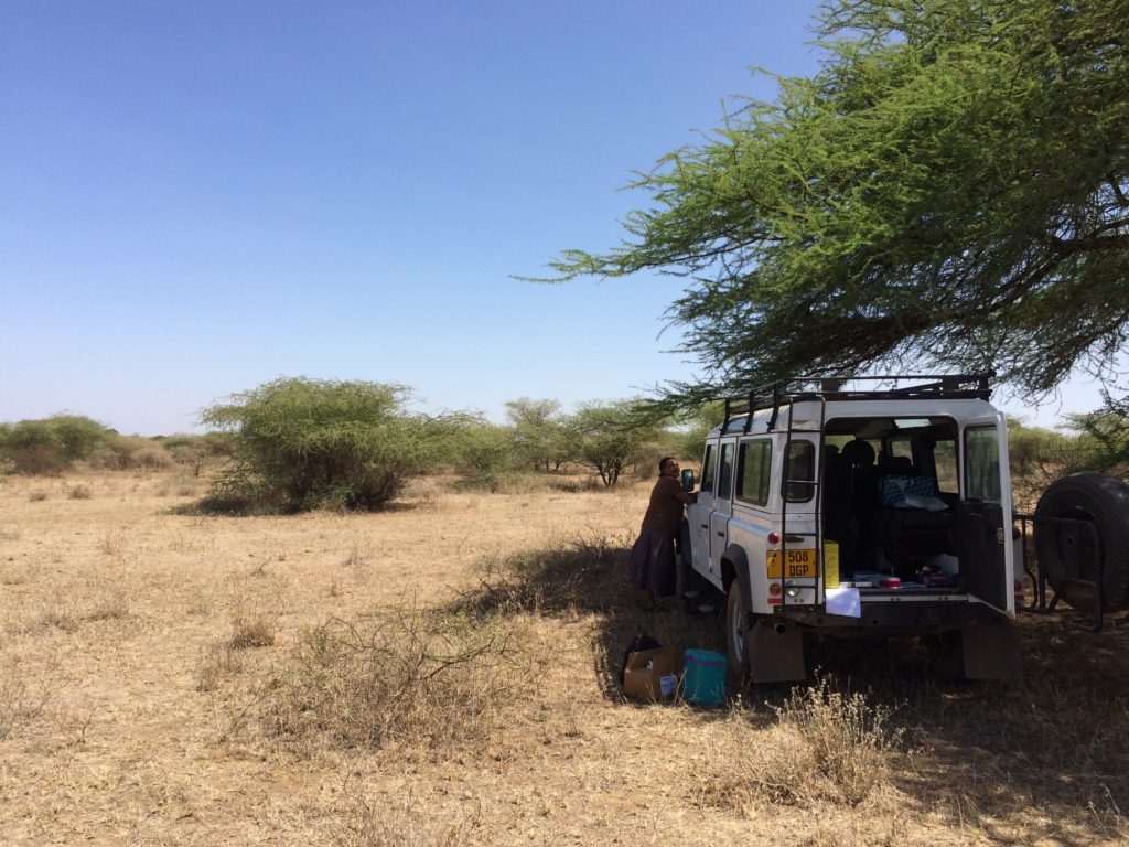 A typical environment for trachoma screening in this study region; the study team seek shade under a tree to test mock samples in field conditions. Image Credit Tamsyn Derrick