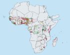 Figure 1: Distribution of S. haematobium in Africa in 2018 as reported by the Expanded Special Project for Elimination of Neglected Tropical Diseases (ESPEN). Green = prevalence