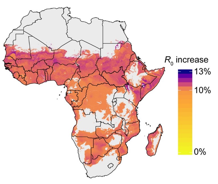 BugBitten Multiple blood meals speed up malaria parasite development