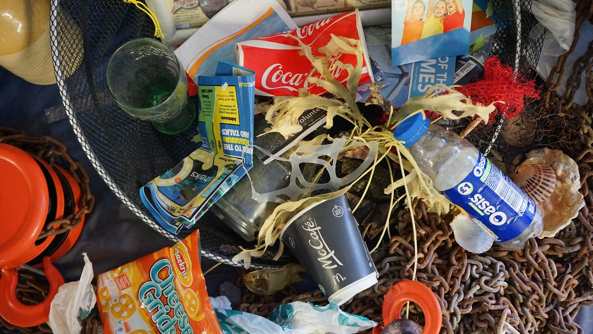Microplastics and microbes – have we created a new disease vector? - Vimarsana News