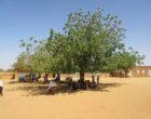 A group of children take shelter from the sun outside of their primary school near to the capital Niamey, Niger. Credit: SCI Foundation.