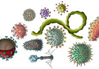 Viruses, bacteria and parasites, oh my!