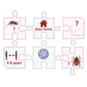 Pandemic restrictions provide insights into how human movement affects vector-borne diseases