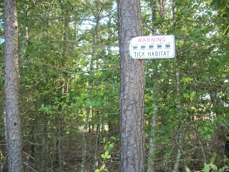 photo of a forest showing a sign that reads: warning tick habitat